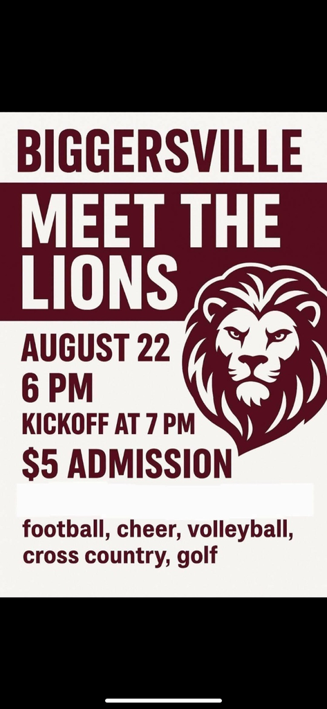 meet the lions 2025