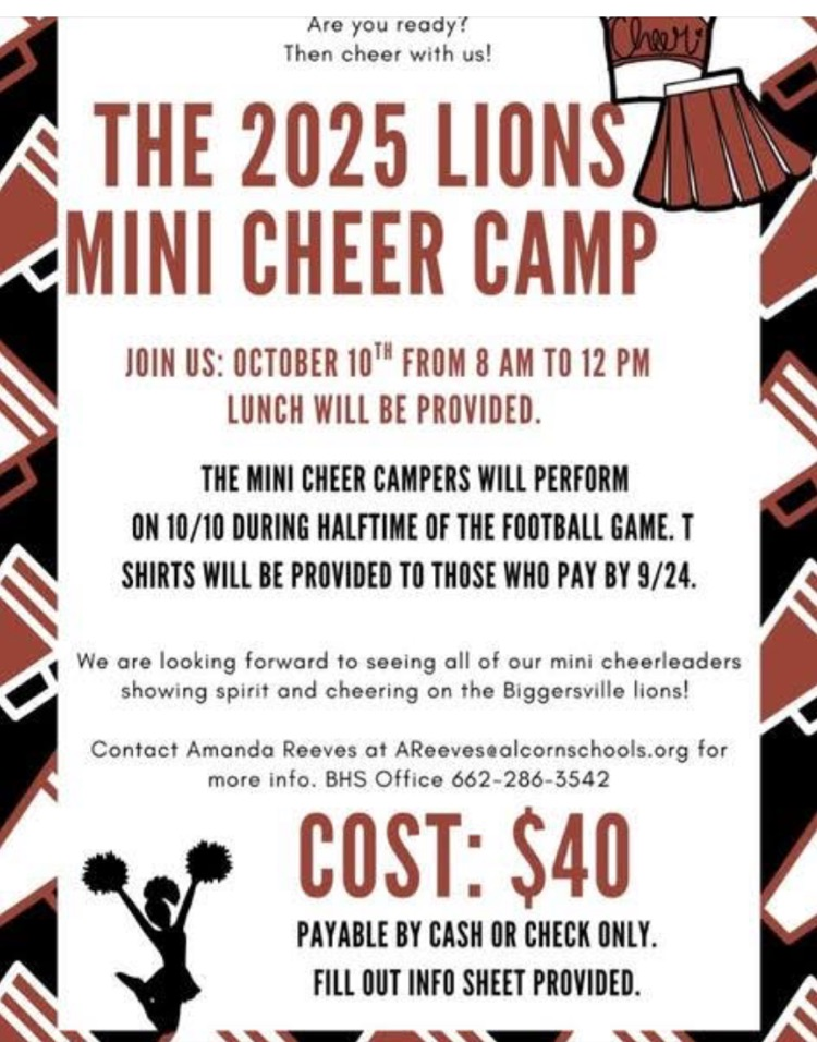 Mini cheer camp 