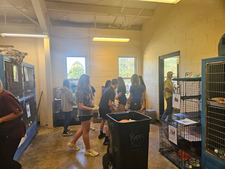 7-12 Animal Shelter