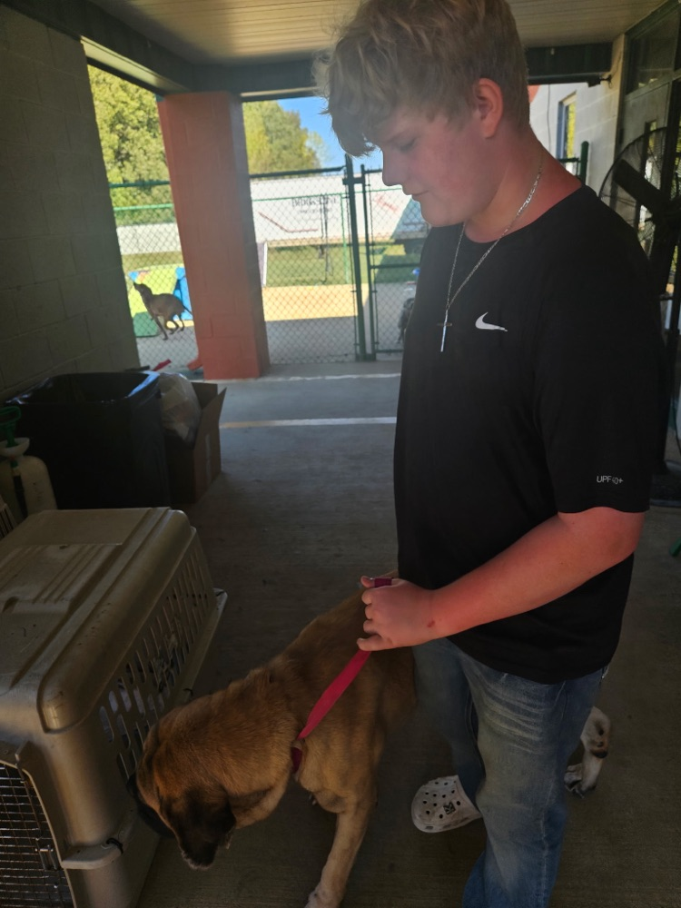 Corinth animal shelter