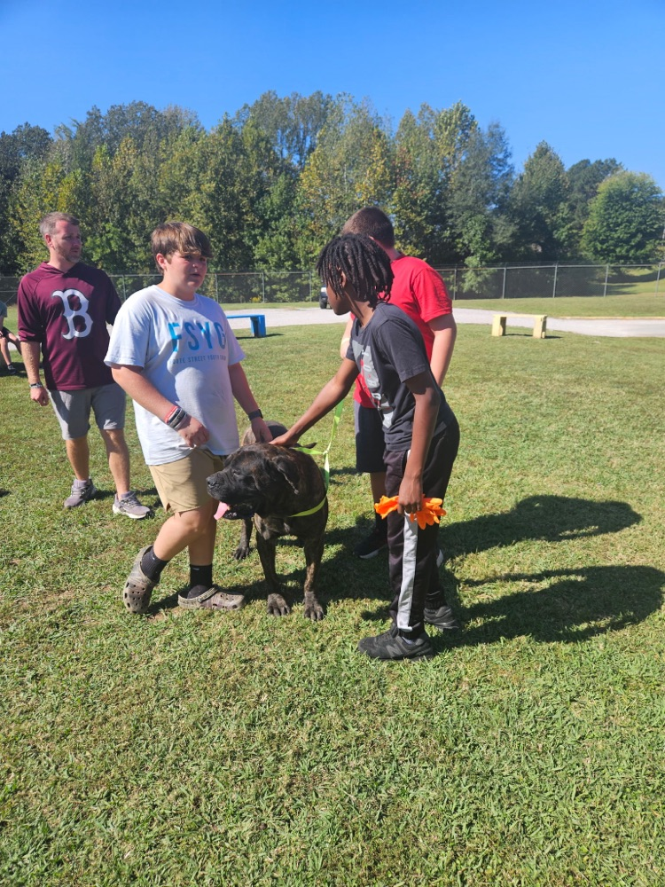 Corinth animal shelter