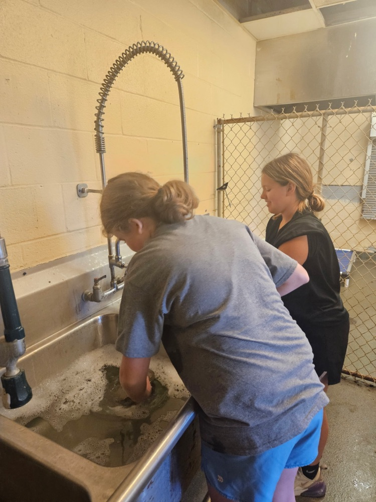 Corinth animal shelter
