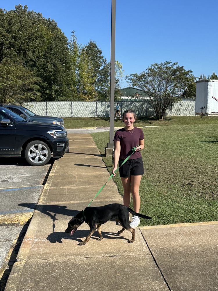 Corinth animal shelter