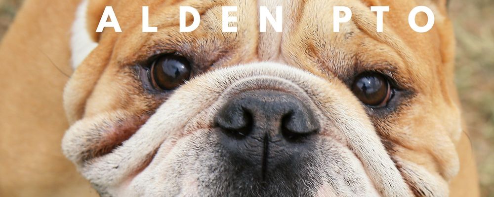 bulldog