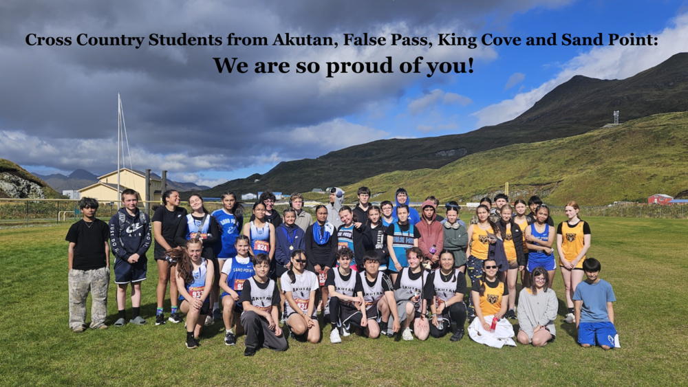 AEBSD Cross Country