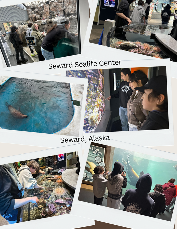 Seward Sealife Center