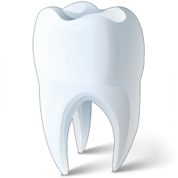 graphic of a tooth