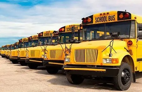 picture of a line of school buses in a parking lot