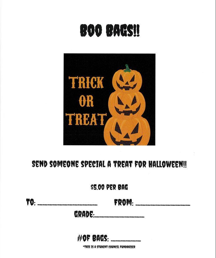 Boo Bags