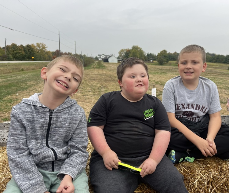Pumpkin patch