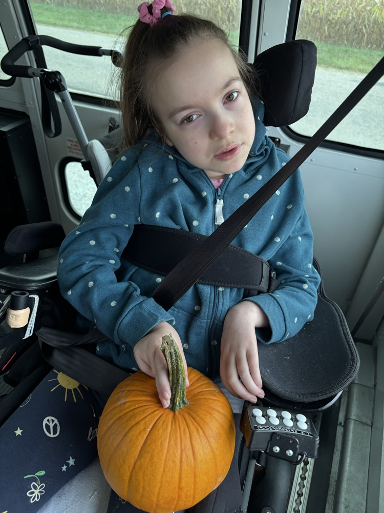 Pumpkin patch