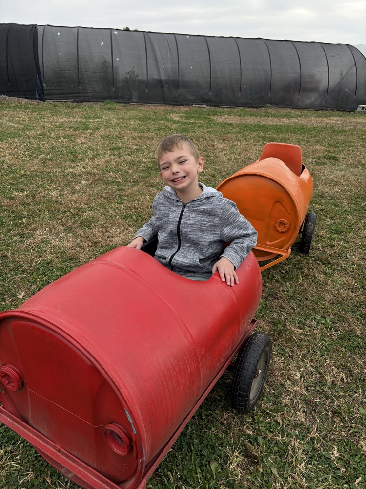 Pumpkin patch