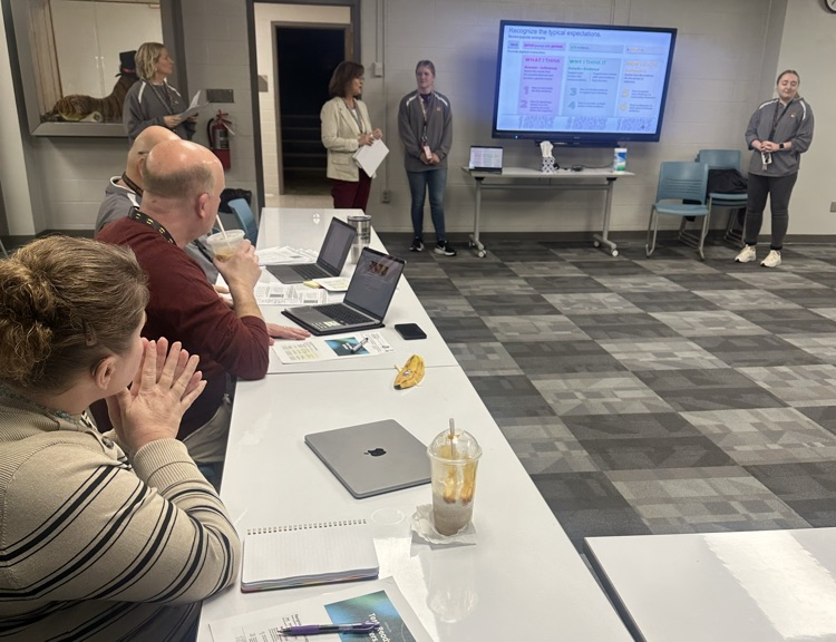 Professional development