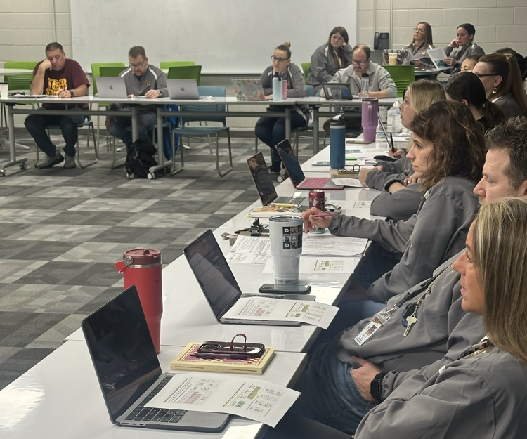 Professional development