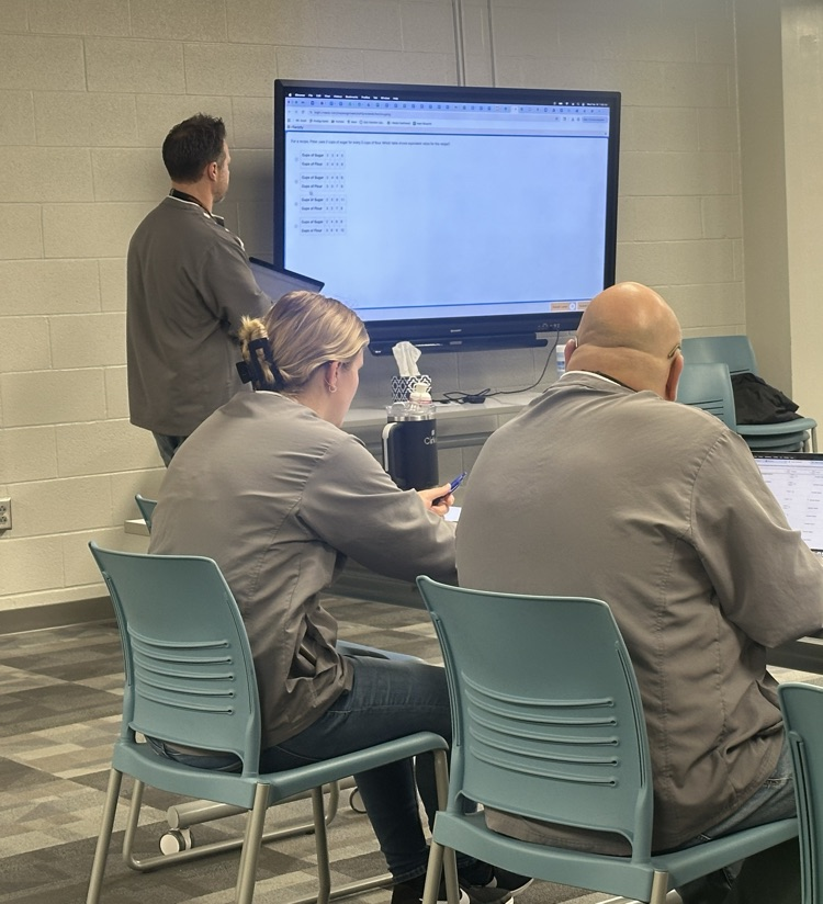 Professional development