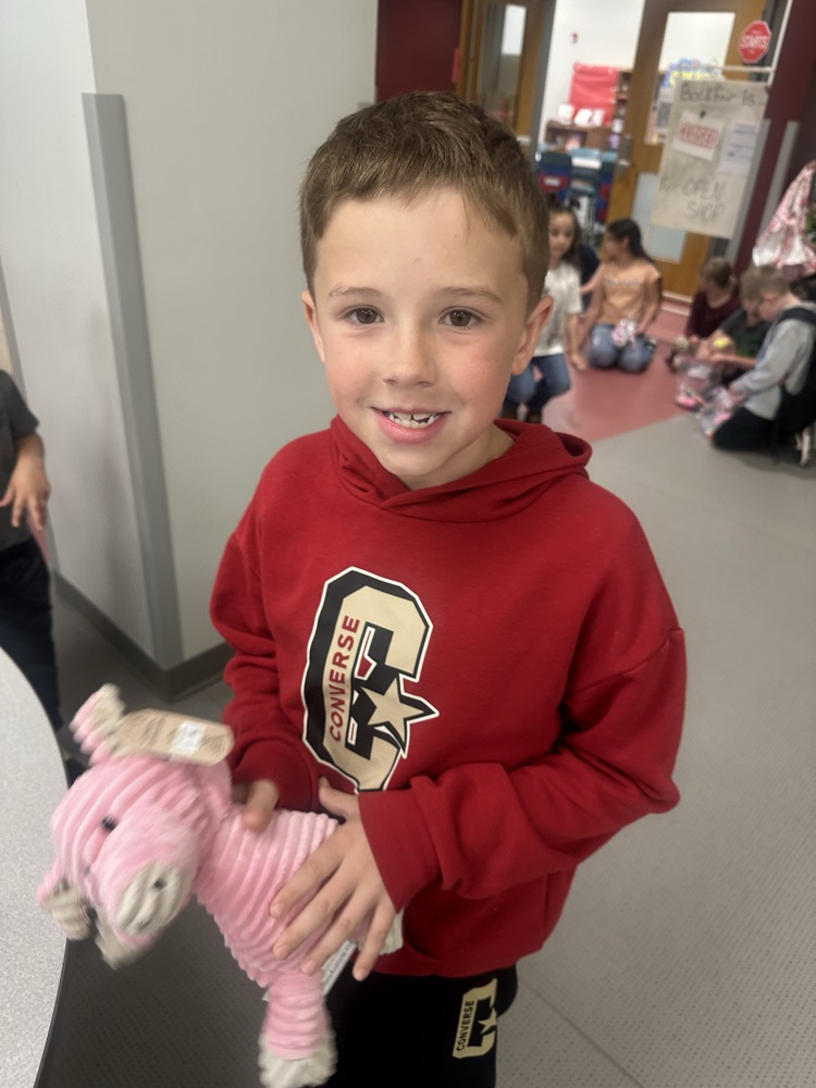 pig