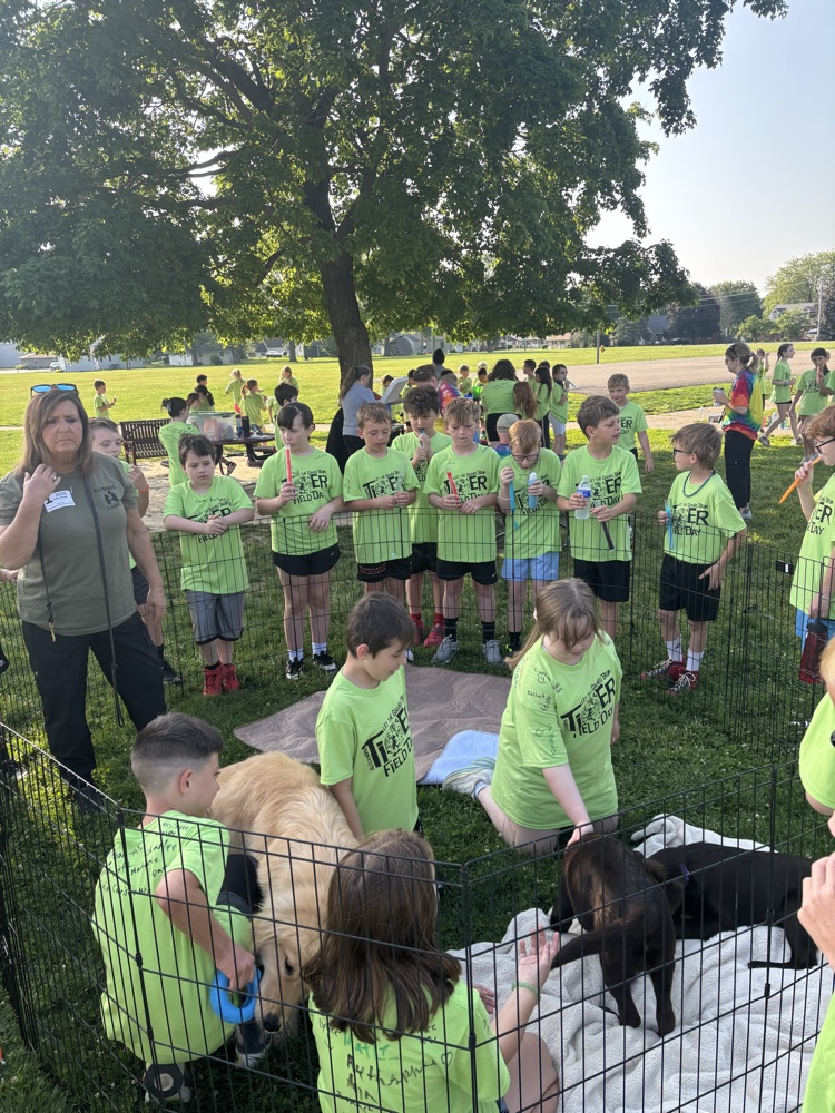 Field day