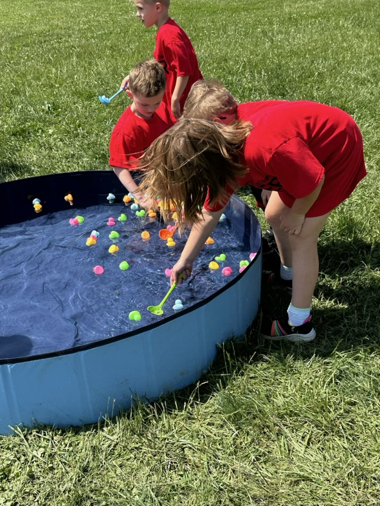 field day