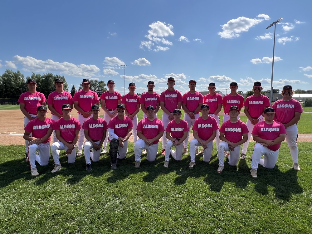 Baseball pink out 2025