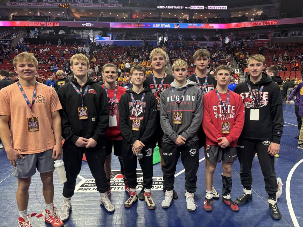 State boys' wrestling 2026