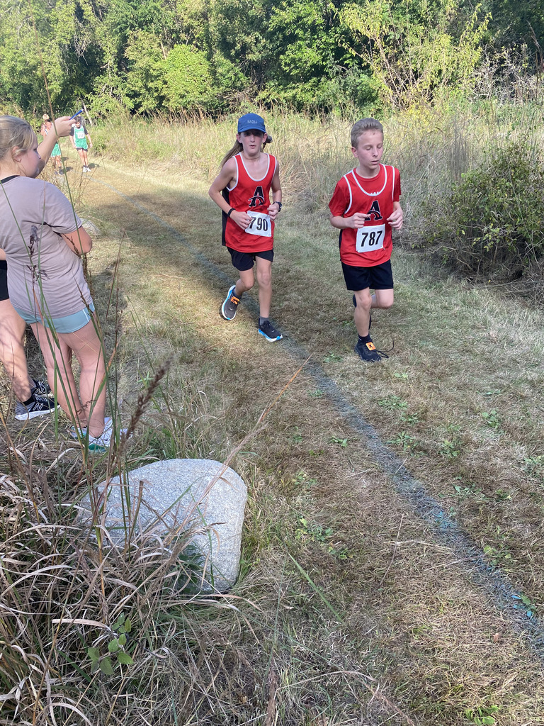 AMS Cross Country Team