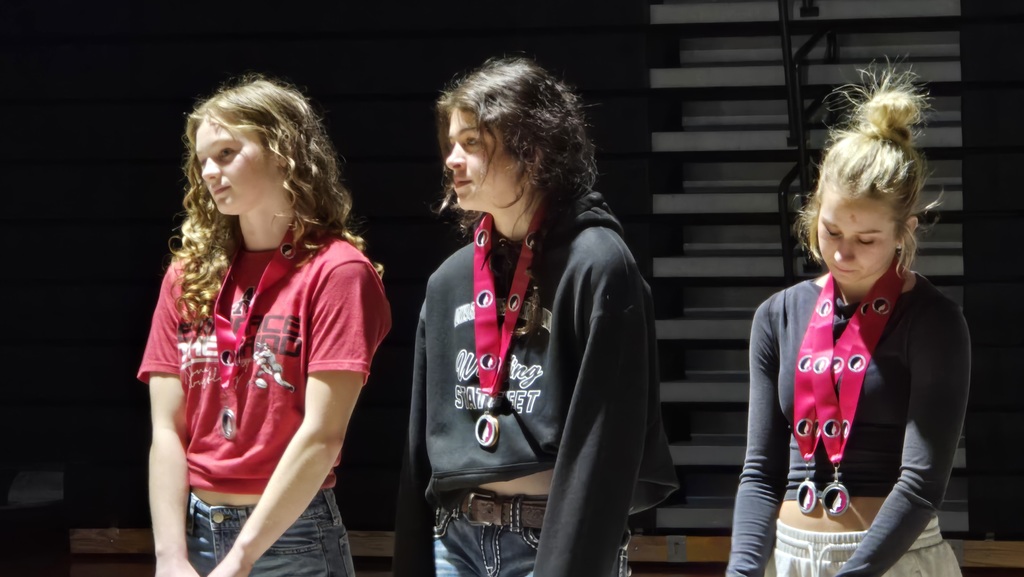 Girls Wrestling Reception