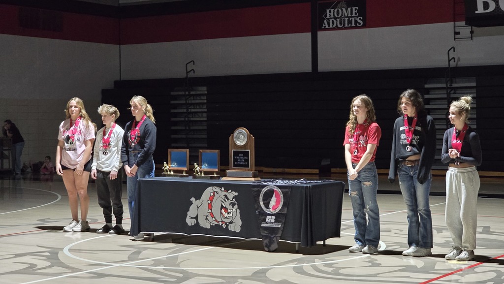 Girls Wrestling Reception