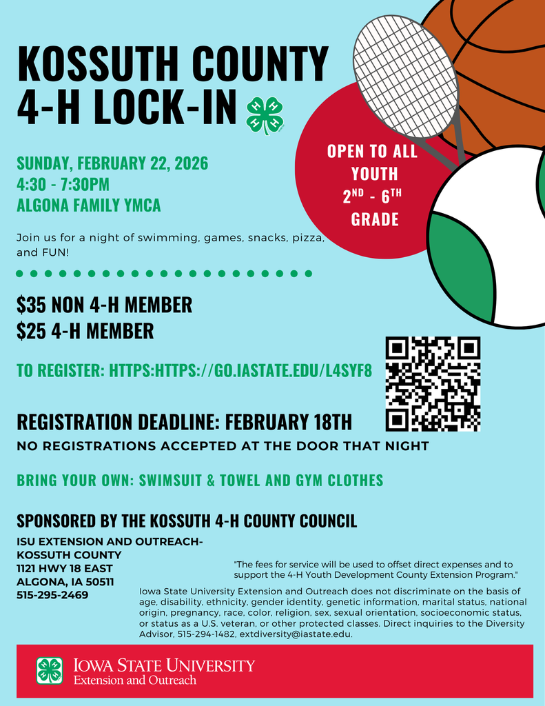 2025 Kossuth county 4-h lock-in (2)