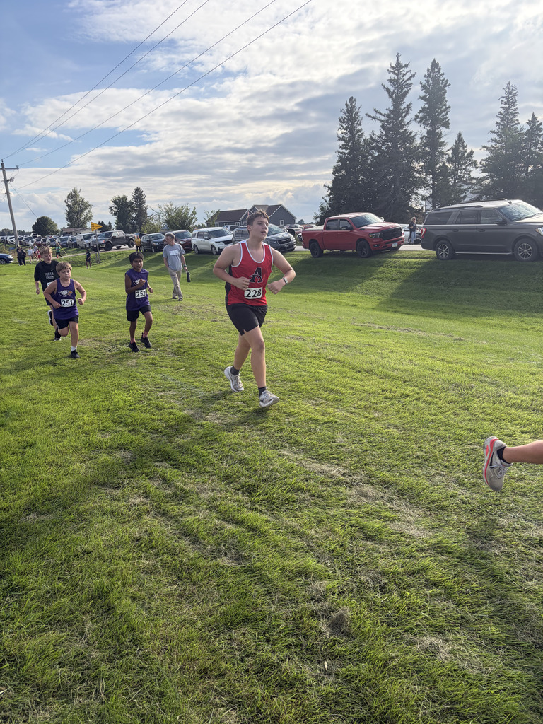 A group of people are running on a grassy field. A person in front wears a red shirt. Background includes cars parked and trees.