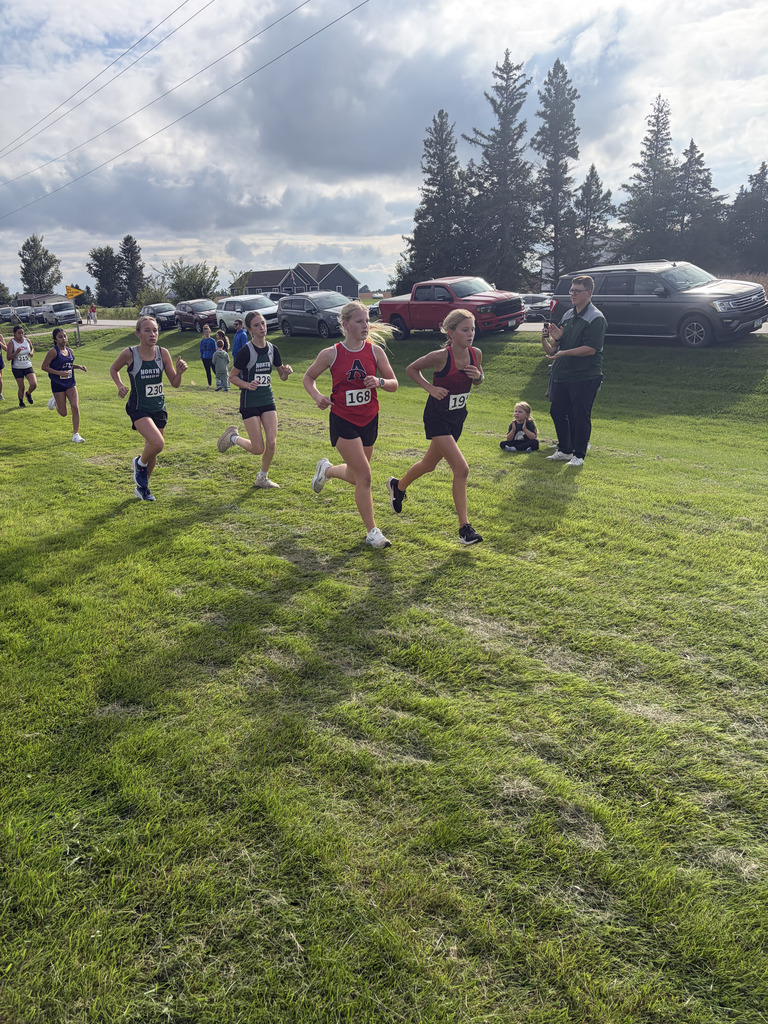 Several athletes compete in a cross-country race on a grassy field. Behind them are parked cars and trees.