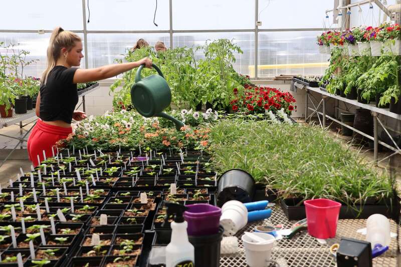 Greenhouse 2026