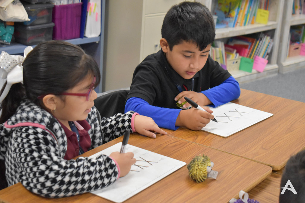 Two students writing on a personal whiteboard 