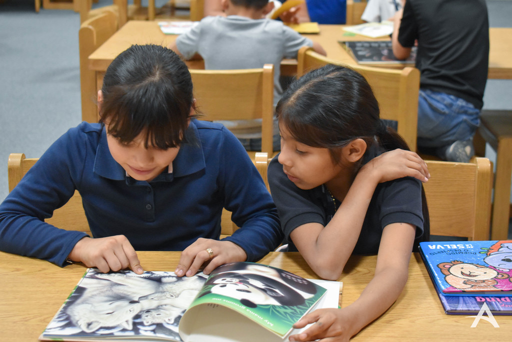 Two students reading a book together 