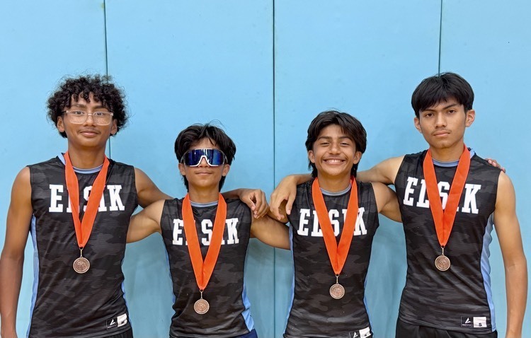 Elsik