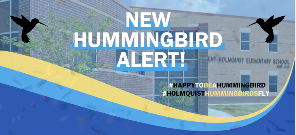 new hummingbird alert banner