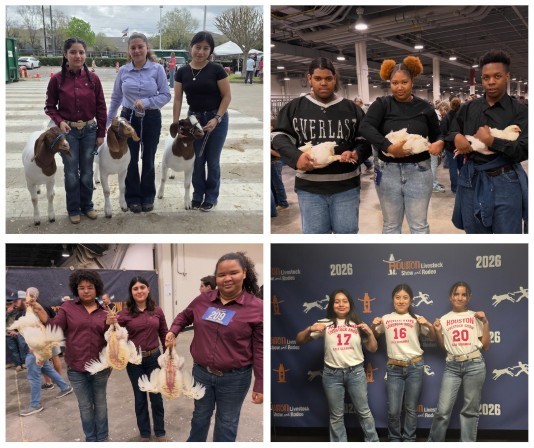 Photos of Alief ISD FFA Students