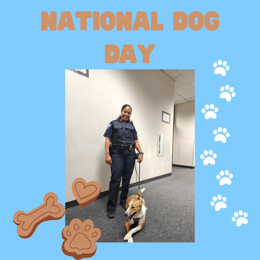 nationaldogday