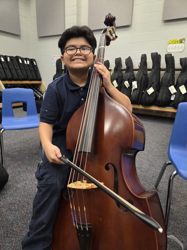 cello