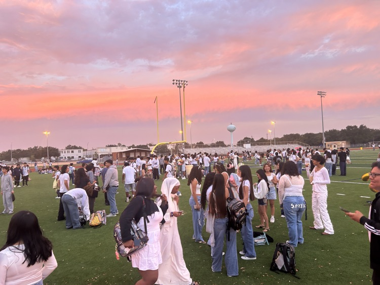 senior 