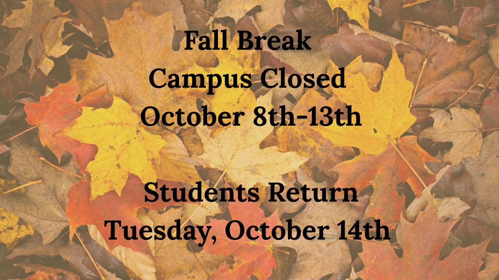 fallbreak25