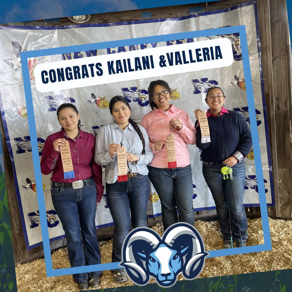 The Alief FFA Swine Raisers competed very well at the New Caney Progress Show in Conroe on Sunday, January 11th. Please congratulate these students on a job well done!   Valleria Nolasco – 1st Kailani Johnson  - 2nd Jennifer Garcia – 2nd Melissa Rivera - 3rd