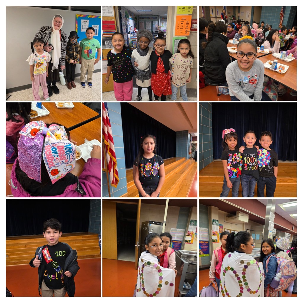 100 day dress up collage 