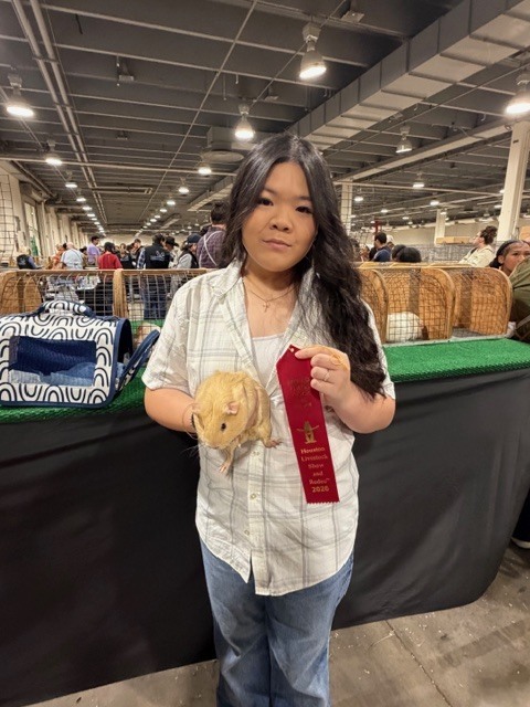 Shoutout to our amazing students who poured time and dedication into their livestock projects! Their effort shined bright at the Houston Livestock Show & Rodeo. Way to represent Alief FFA! 🤠✨