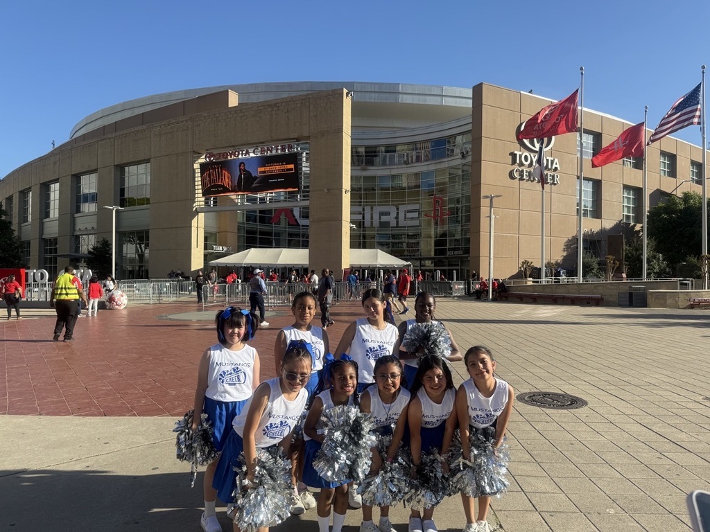 Martin's Cheer Team showing their skills during a Rockets halftime show