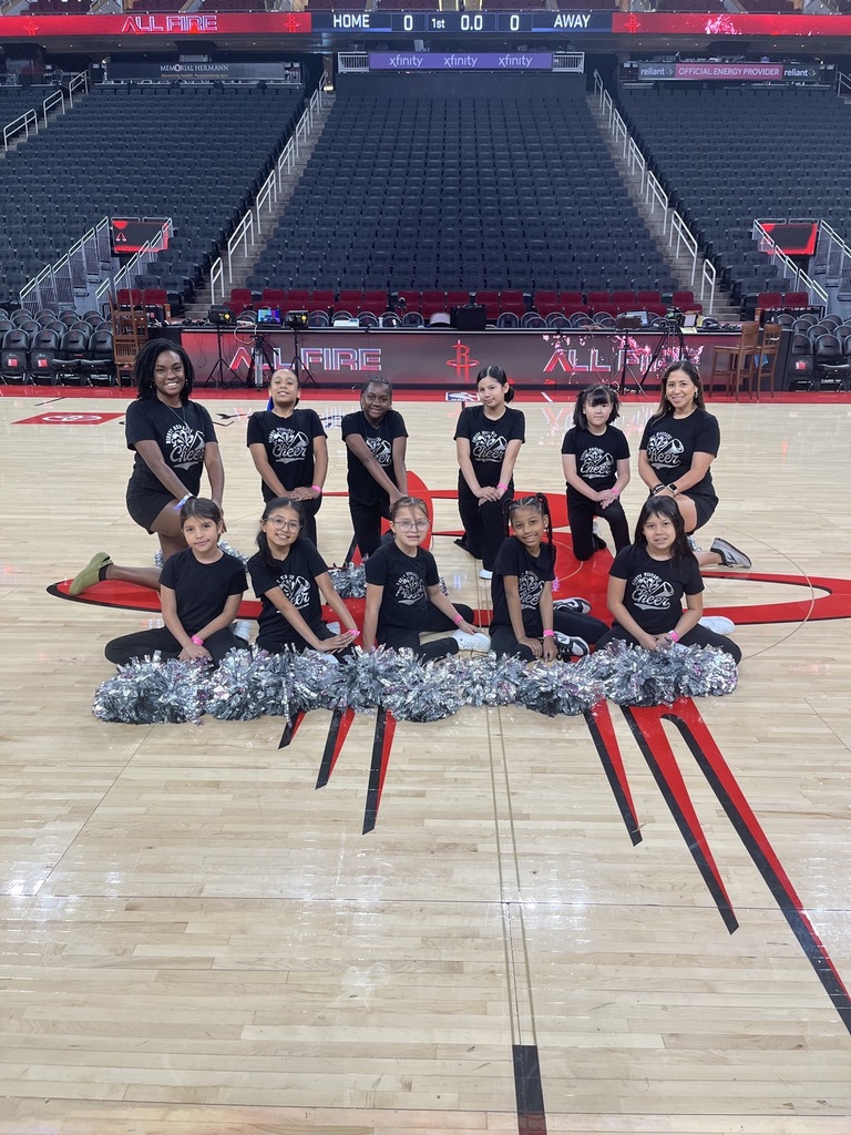 Martin's Cheer Team showing their skills during a Rockets halftime show