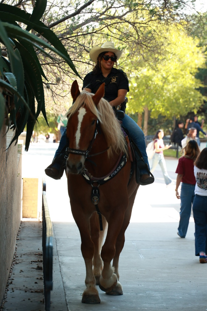 Police officer on horse with blond mane and tail walks on sidewalk with people in background.