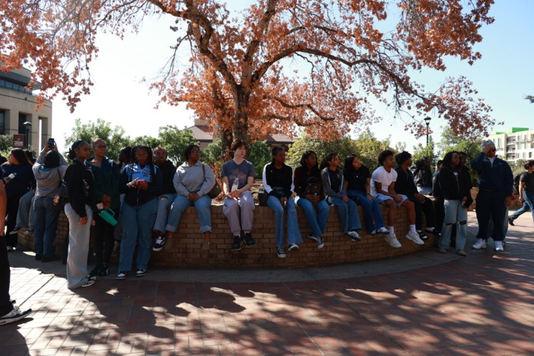 Students sit on a tree-shaped stone wall, facing forward; autumn trees surround the wall, with a building in the background.