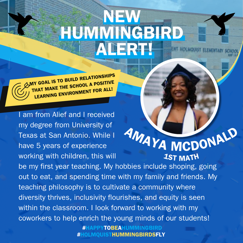 new hummingbird alert
