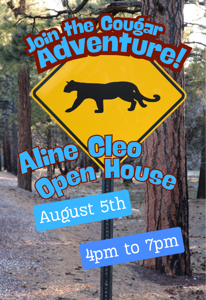 Open House