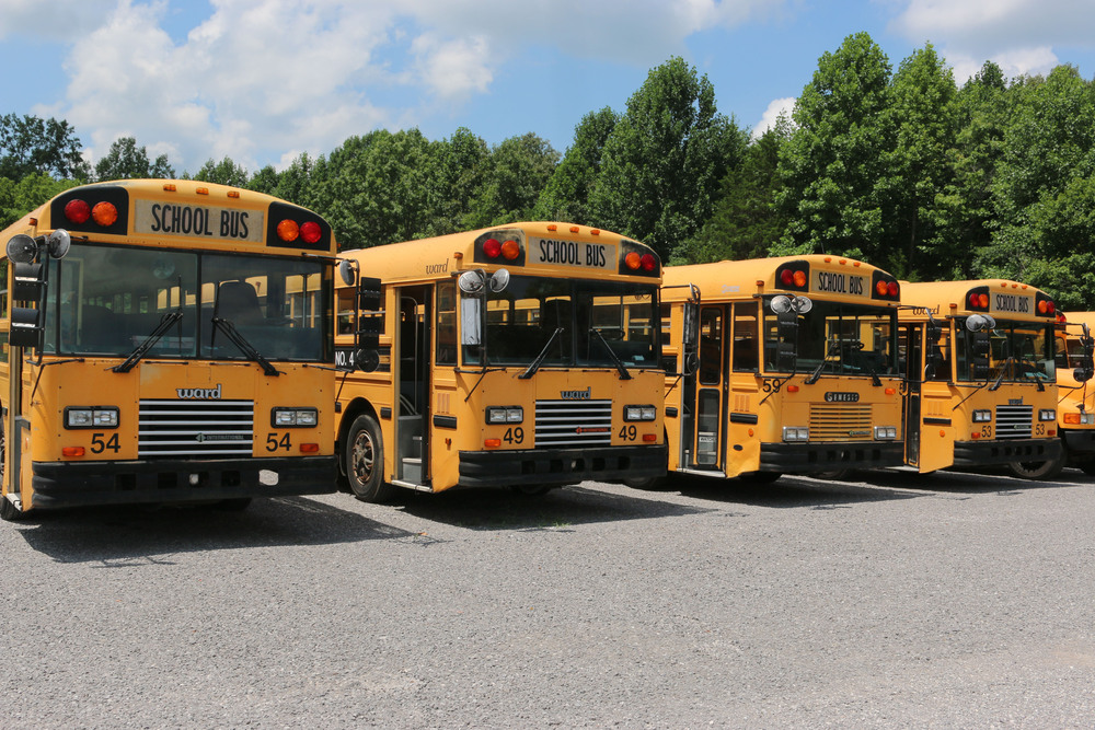 Bus